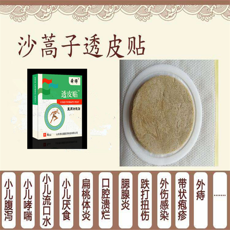 沙蒿子透皮贴.jpg