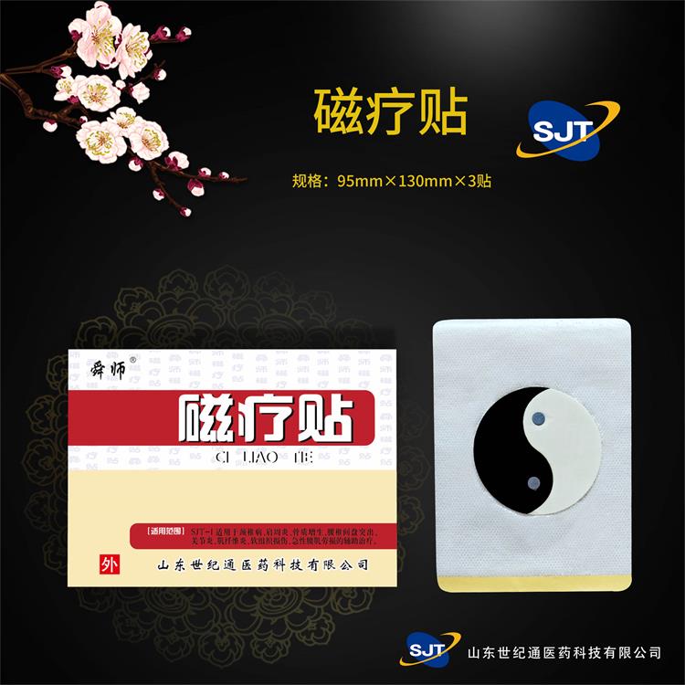 21、舜师磁疗贴.jpg